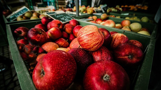Apples apple festival Hamilton Stoney Creek