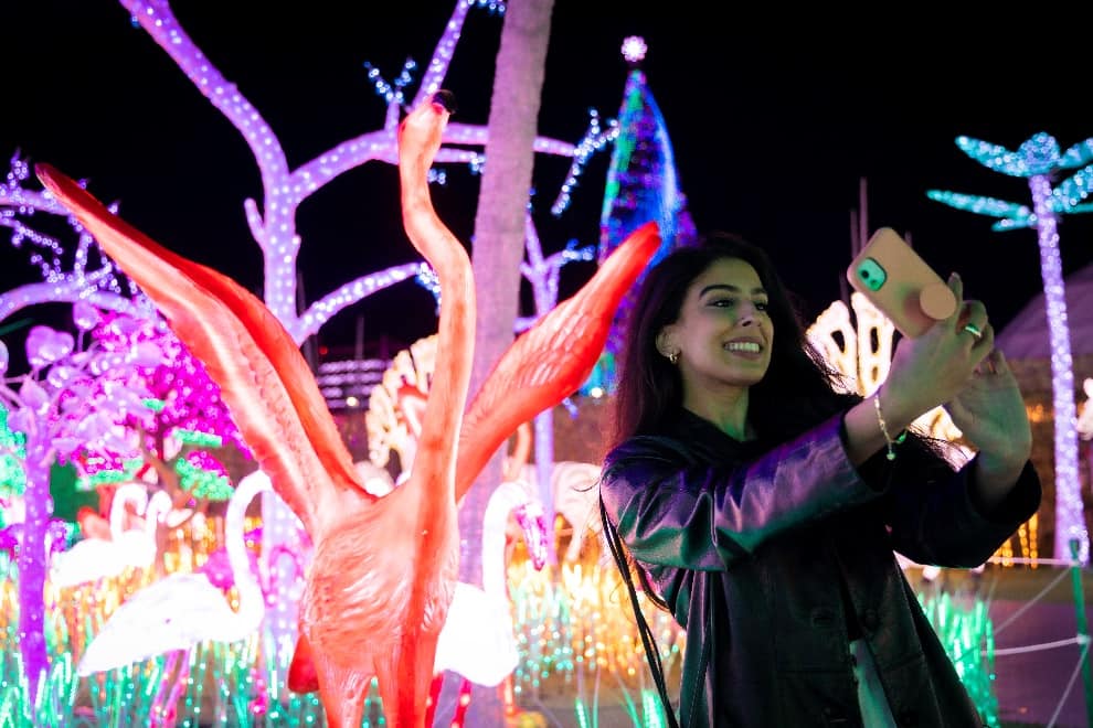 Mississauga’s massive new light festival, illumi: A deeper look into the show captivating visitors of all ages