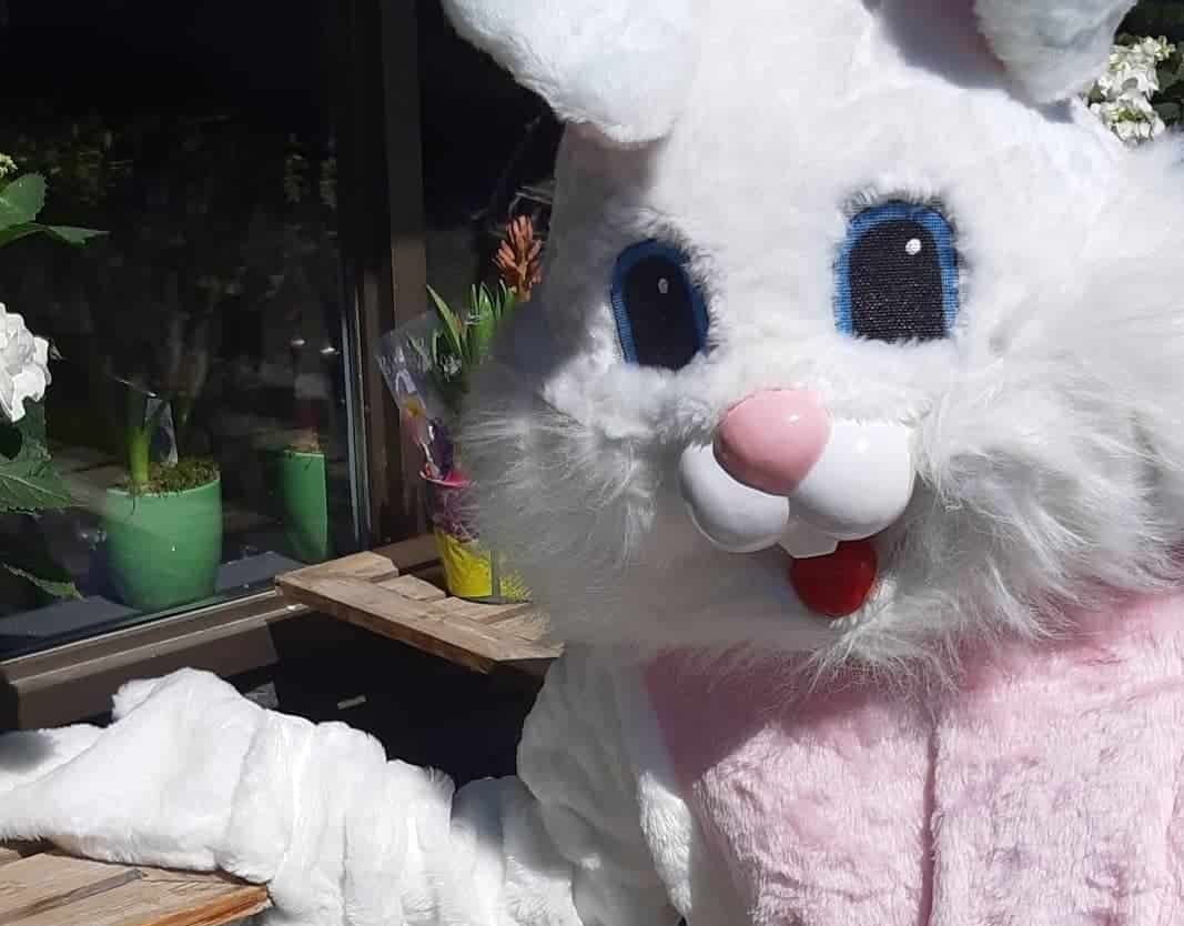 Easter Bunny Burlington museum