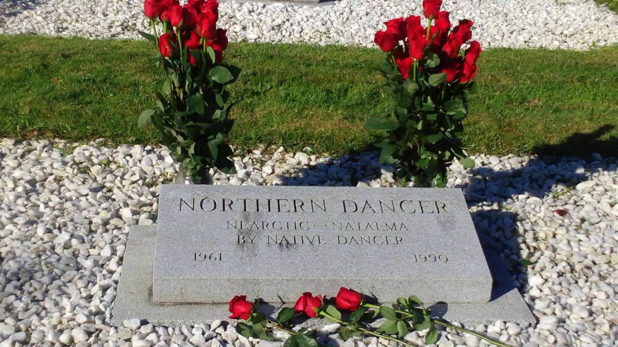 Northern Dancer's grave